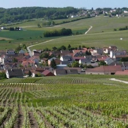 La Longere De Vin'Ay Διαμέρισμα Vinay  Εξωτερικό φωτογραφία