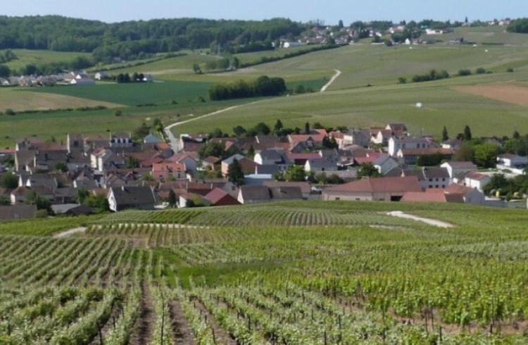 La Longere De Vin'Ay Διαμέρισμα Vinay  Εξωτερικό φωτογραφία