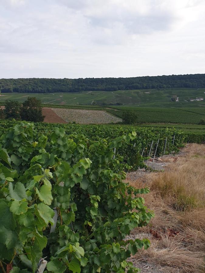 La Longere De Vin'Ay Διαμέρισμα Vinay  Εξωτερικό φωτογραφία